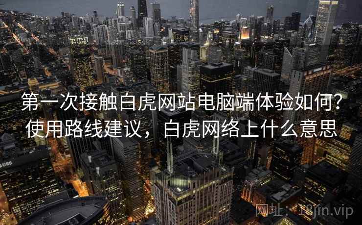 第一次接触白虎网站电脑端体验如何？使用路线建议，白虎网络上什么意思