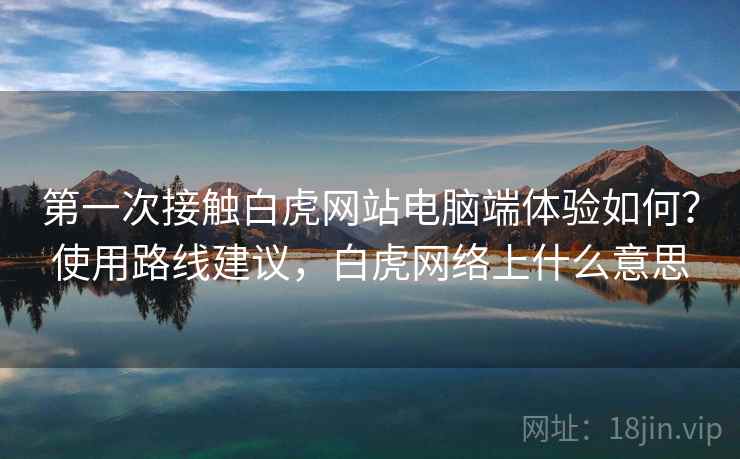 第一次接触白虎网站电脑端体验如何？使用路线建议，白虎网络上什么意思