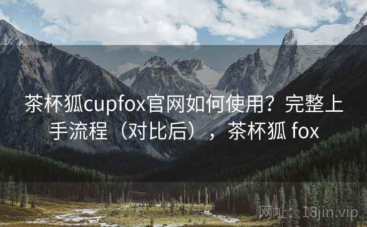 茶杯狐cupfox官网如何使用？完整上手流程（对比后），茶杯狐 fox