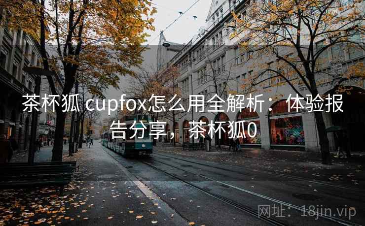茶杯狐 cupfox怎么用全解析：体验报告分享，茶杯狐0