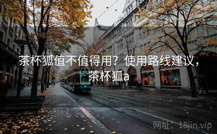 茶杯狐值不值得用？使用路线建议，茶杯狐a